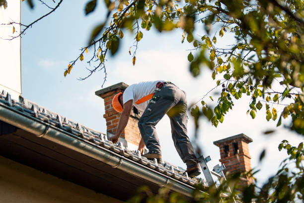 Best Local Roofing Companies  in Man, IL