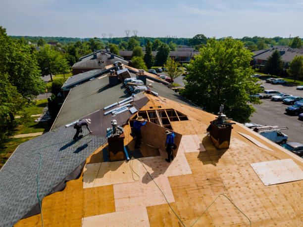 Best Commercial Roofing Services  in Man, IL
