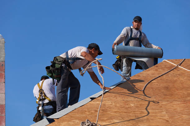 Best Roof Maintenance Services  in Man, IL